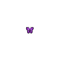 Purple Butterfly Random