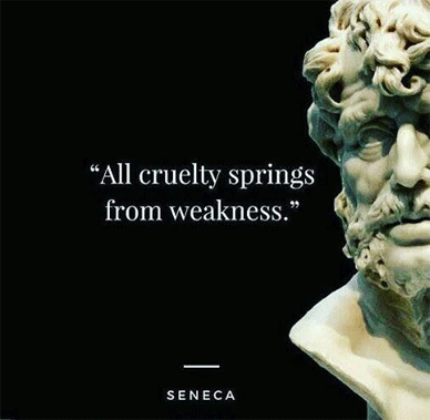 All cruelty springs from weakness. - Lucius Annaeus Seneca