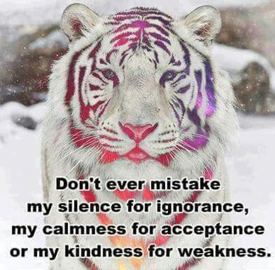 Don't ever mistake my silence for ignorance, my calmness for acceptance, or my kindness for weakness.