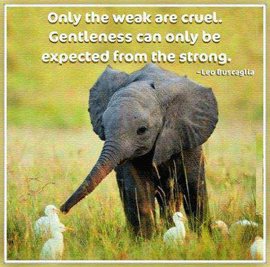 Only the weak are cruel. Gentleness can only be expected from the strong. - Leo Buscaglia
