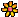 Orange Flower icon