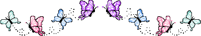 Pastel Butterfly Divider